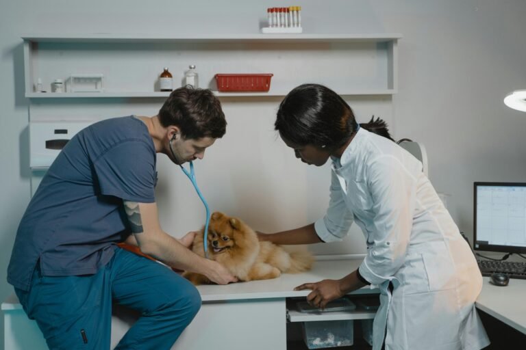 CMA avança em investigação sobre mercado veterinário