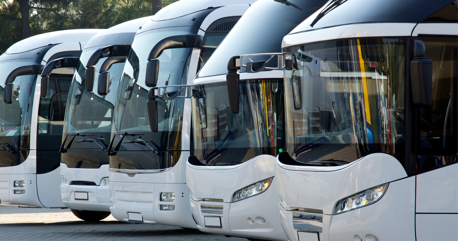 ANTT barra expansão da Expresso Itamarati e mantém restrição em trechos de Goiás