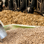 CMA aprova fusão no setor de ração animal