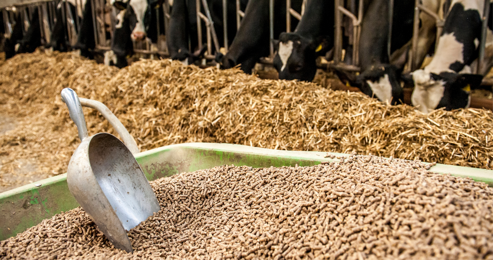 CMA aprova fusão no setor de ração animal