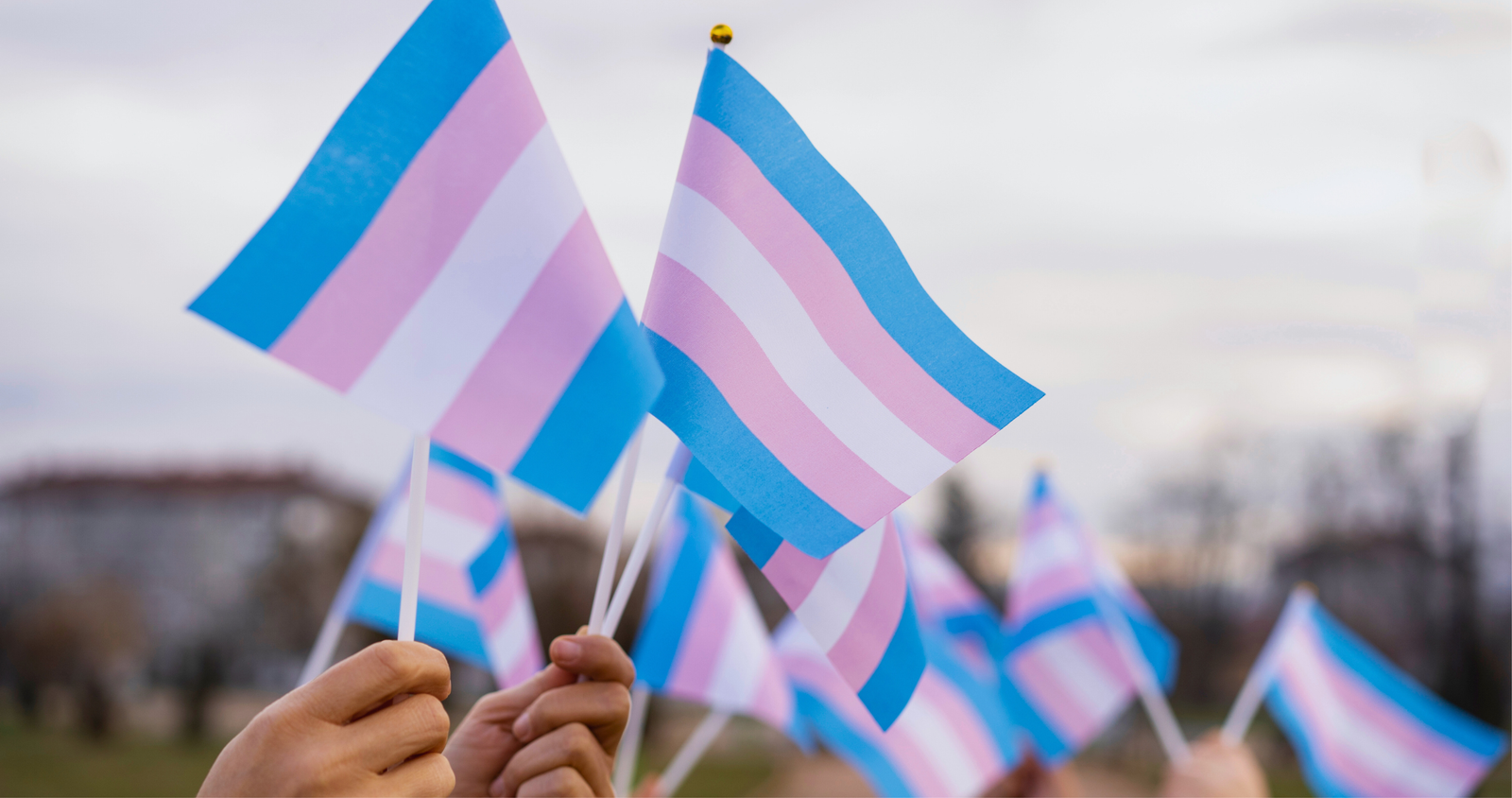 Câmara debate política de saúde mental para pessoas trans e travestis