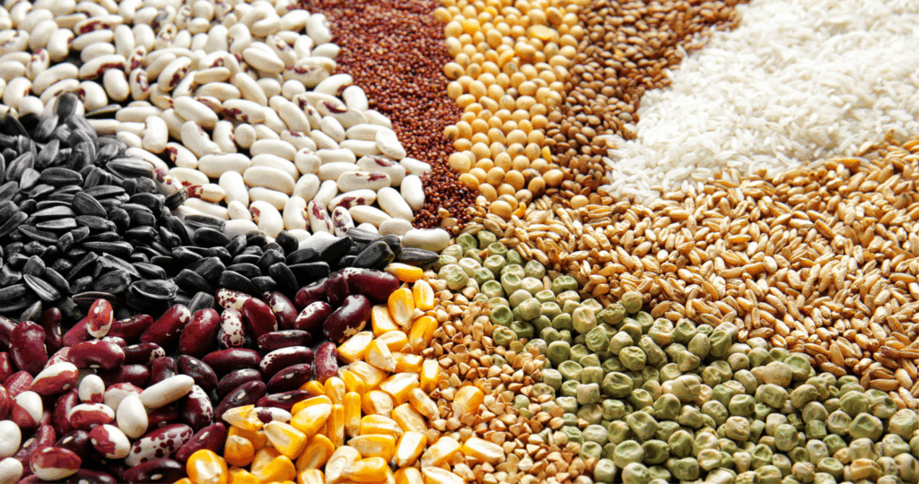 CADE analisa aquisição de ativos da Syngenta pela Envu no setor de inseticidas para grãos armazenados