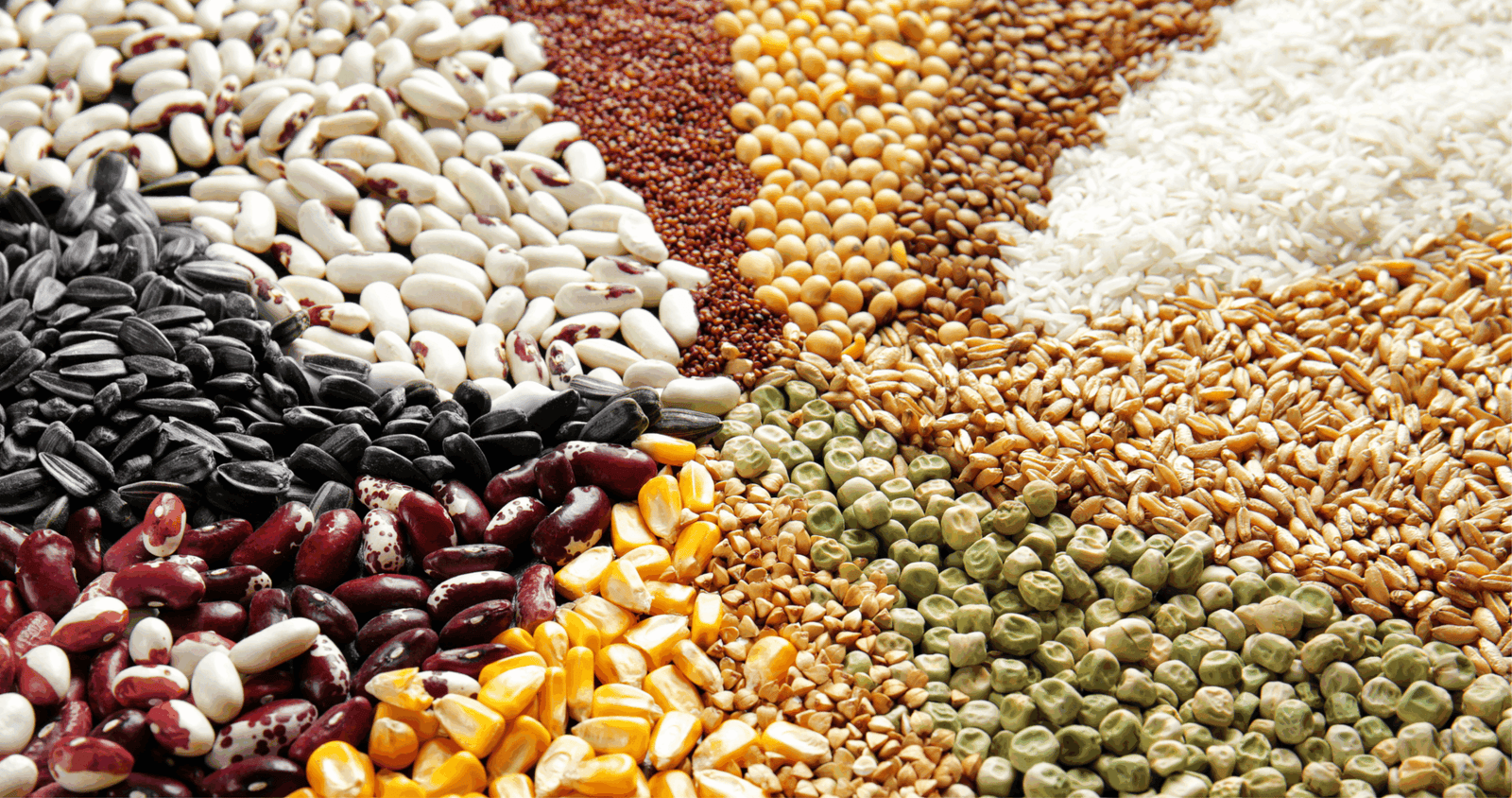 CADE analisa aquisição de ativos da Syngenta pela Envu no setor de inseticidas para grãos armazenados