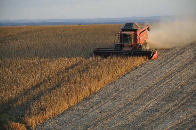 Fertilizantes: Governo e Congresso debatem plano para reduzir dependência brasileira de químicos importados