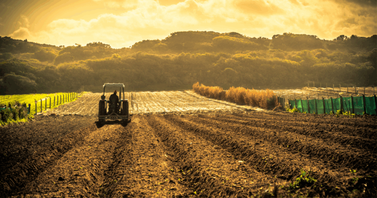 Departamento de Justiça e USDA firmam acordo para proteger a concorrência no setor agrícola