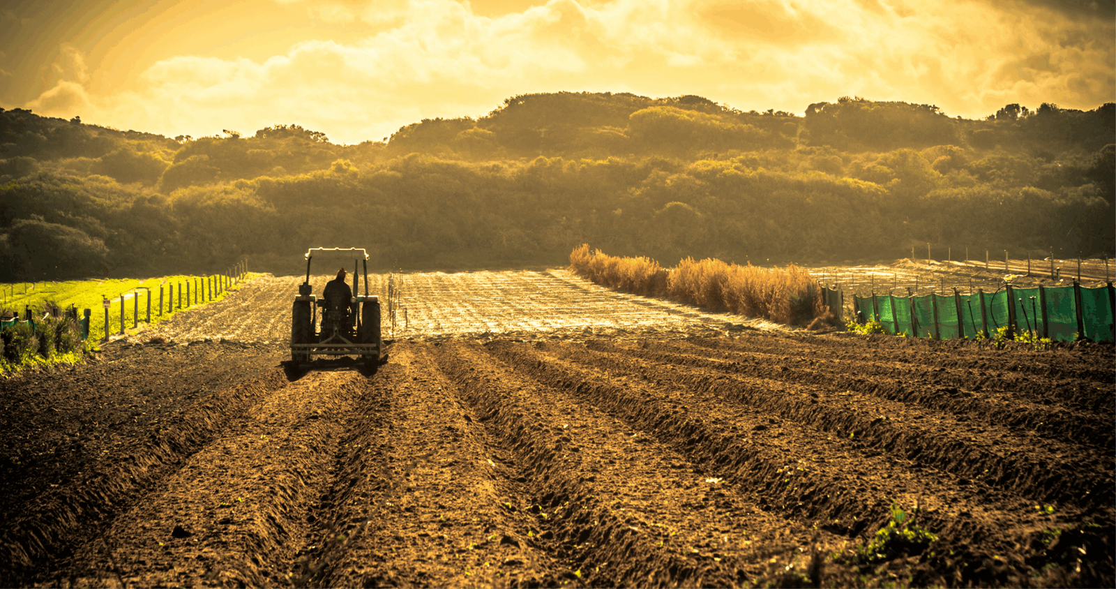 Departamento de Justiça e USDA firmam acordo para proteger a concorrência no setor agrícola
