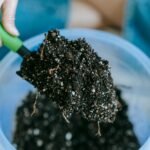 CADE aprova ato de concentração no mercado de fertilizantes