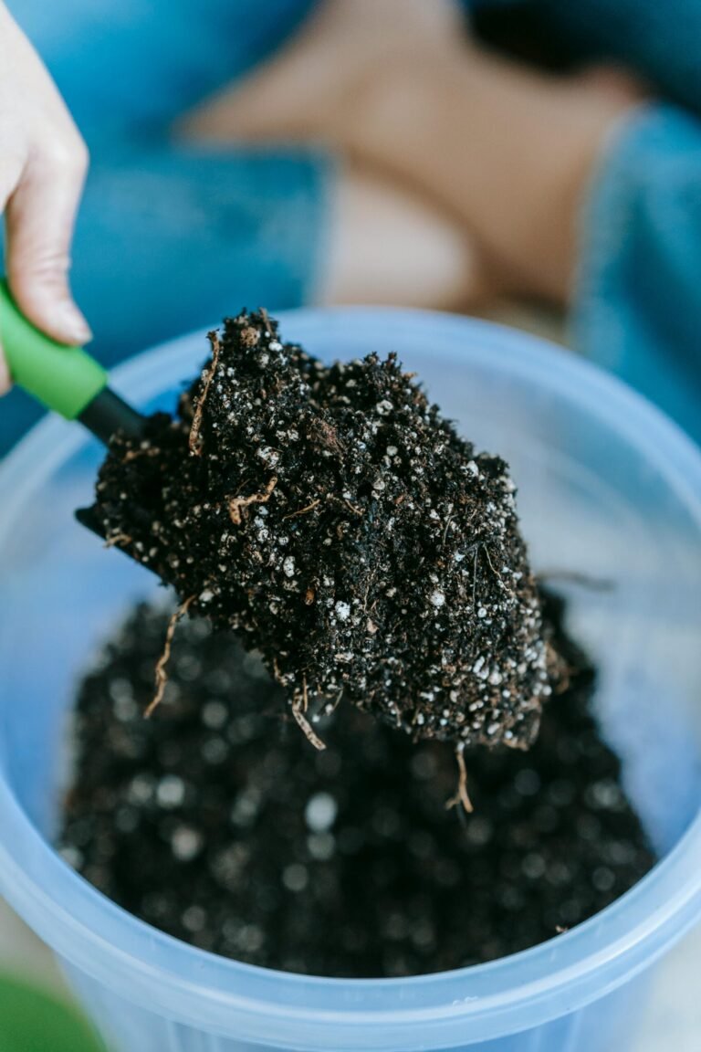 CADE aprova ato de concentração no mercado de fertilizantes
