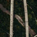 Autoridade Antitruste