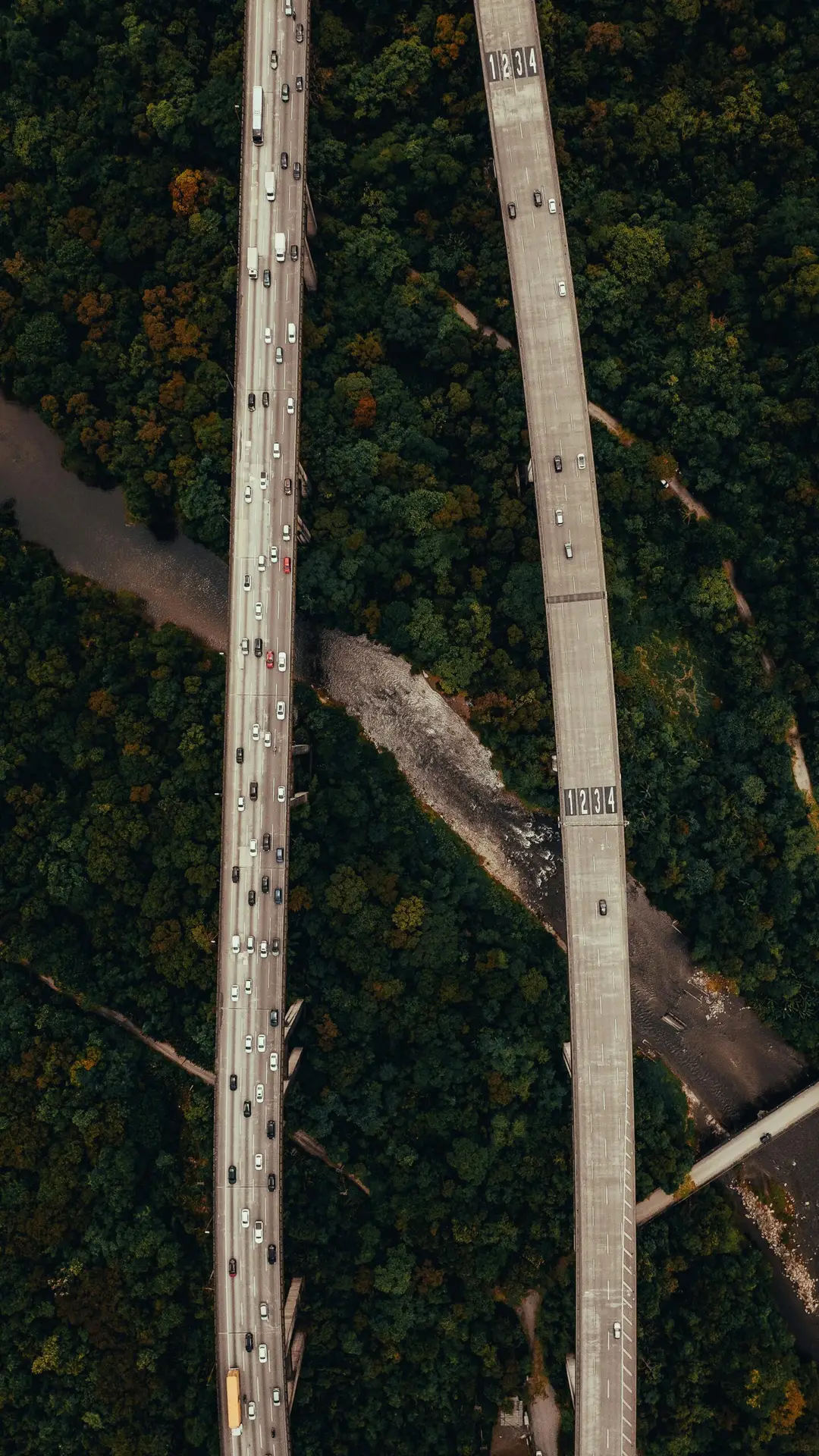 Autoridade Antitruste