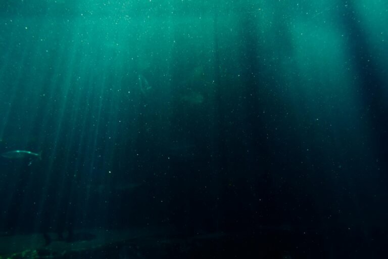 Comissão de Minas e Energia analisa projeto de exploração mineral nos fundos oceânicos. Comissão.