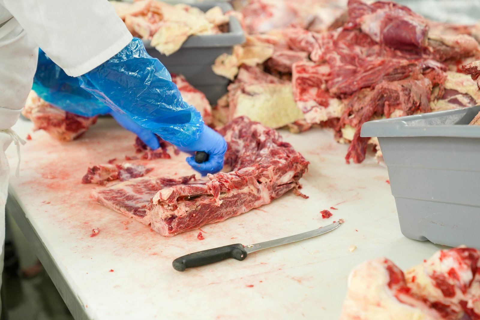 CADE condena cartel no mercado de resíduos animais