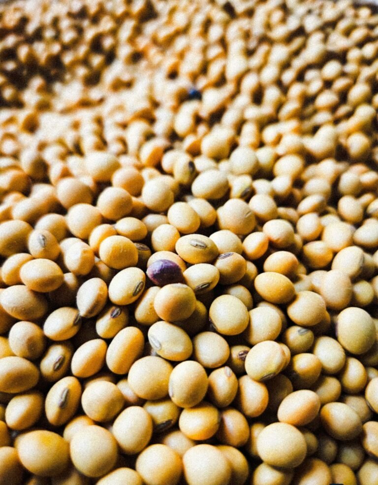 SG/Cade recomenda condenação da Bayer-Monsanto