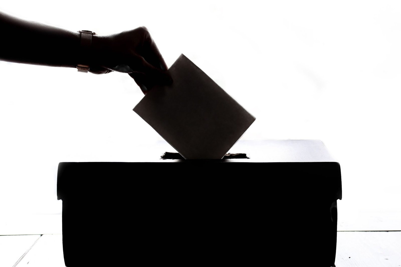 Notificações ao CADE refletem cautela com eleições