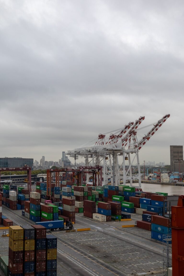 ANTAQ lança leilão de terminal no Porto de Itaqui